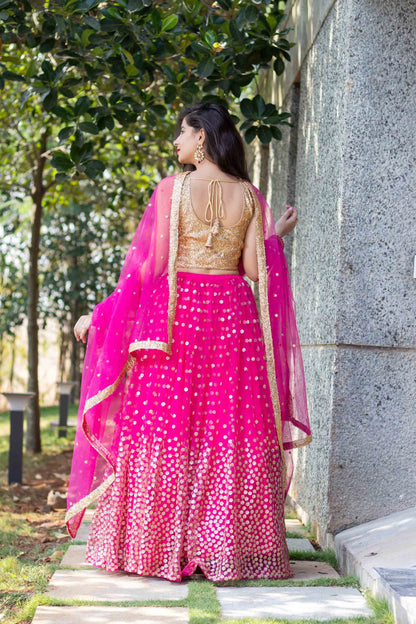 Rani Pink Lehenga