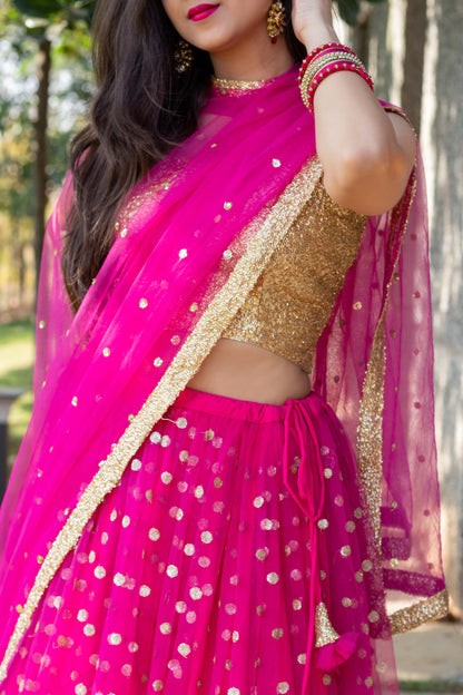 Rani Pink Lehenga