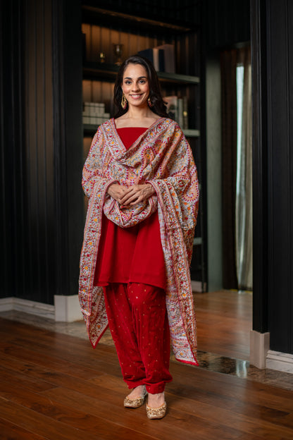 Red Velvet Salwar With Heavy Dupatta