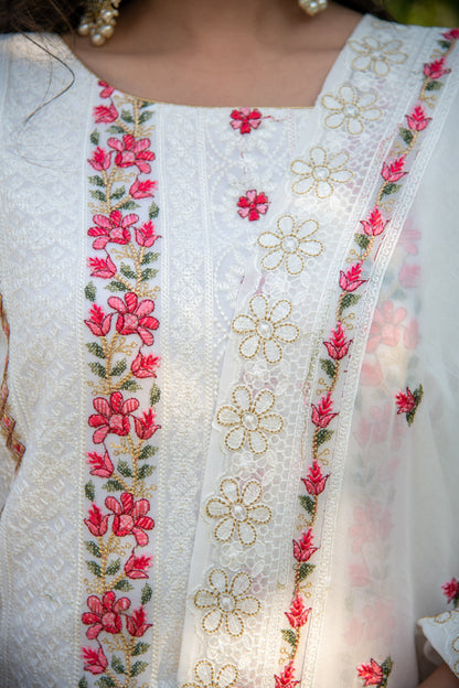 White And Red Heavy Resham Thread Embroidery
