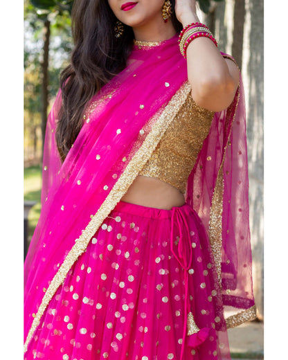 Rani Pink Lehenga