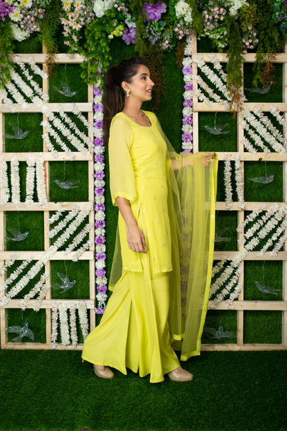 Lime Green Sequin Kurta Pallaza Set