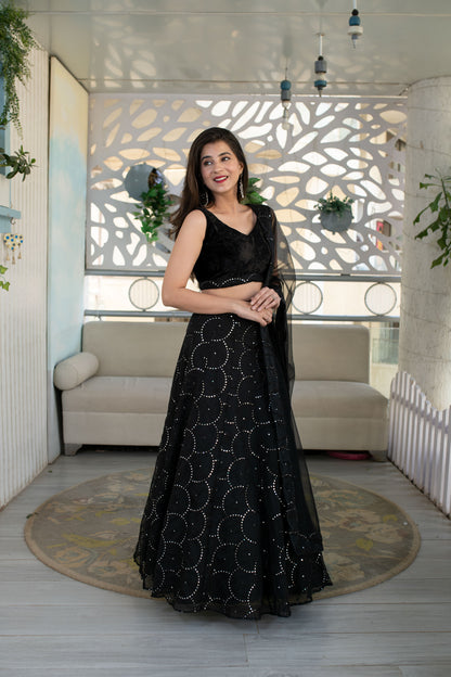 Black Organza Lehenga With Velvet Blouse