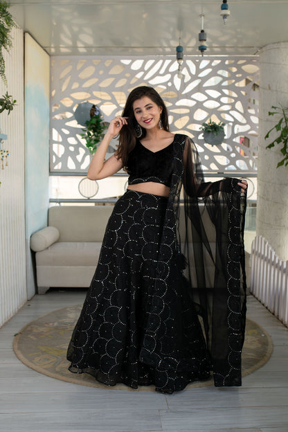 Black Organza Lehenga With Velvet Blouse
