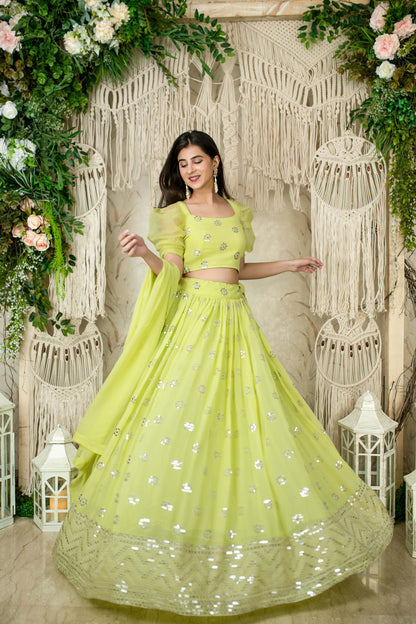 Monochrome Pastel Green Lehenga