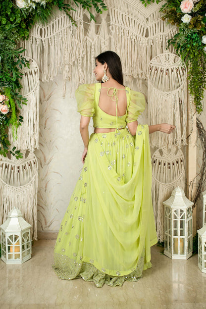 Monochrome Pastel Green Lehenga