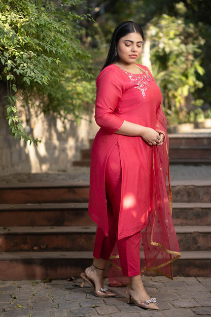 Plus Size Hand Work Pink Kurta Set