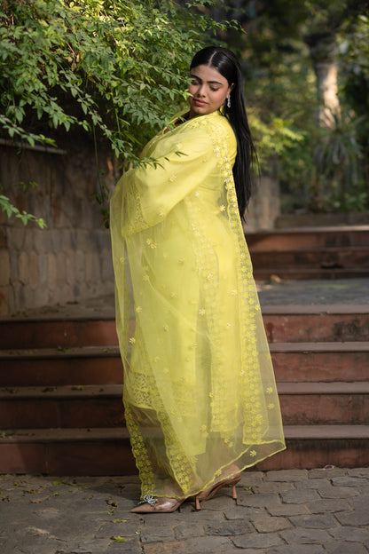 Plus Size Lime Green Kurta With Lace Work